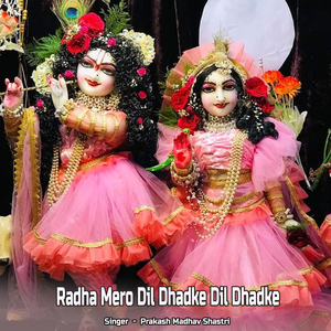 Radha Mero Dil Dhadke Dil Dhadke