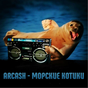 Морские котики