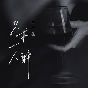只求一人醉 (DJ九零版)