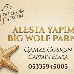 sözlerim tükendi çaresizim karşında (feat. gamze coşkun)