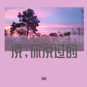 说，你说过的
