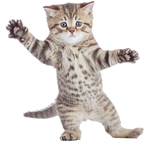 【免费非商业】O3O SuperTrap x Alien Type Beat