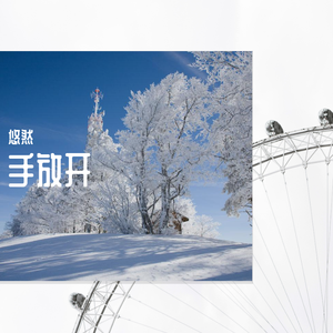 是不是这样的夜晚才会这样的想起我