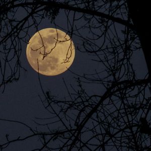 长夜漫漫 君应如是