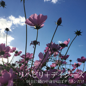 9日目：鍋の中身がほぼダイコンだけ