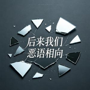 后来我们恶语相向（不要让我苦苦的等候）(车载DJ 版)