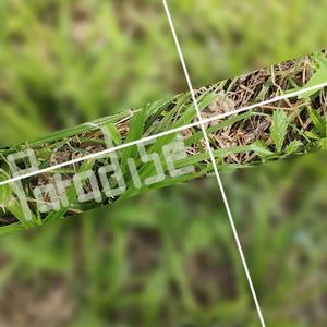 Nuages au - dessus du ciel