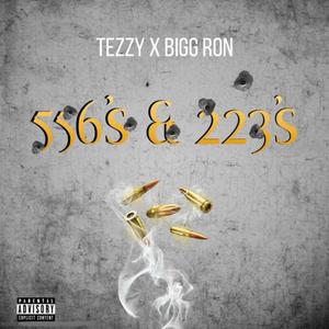 556's & 223's