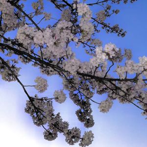 【Free】"Bloody Wounds" Rod wave&Lil poppa Type Beat