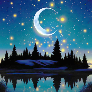 雨后的朦胧夜色