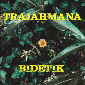 Bidetik