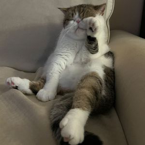 你得逞了