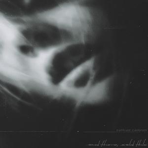 driver crashes head on into pole on river rd