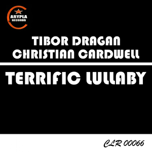 Terrific Lullaby (Original Mix)