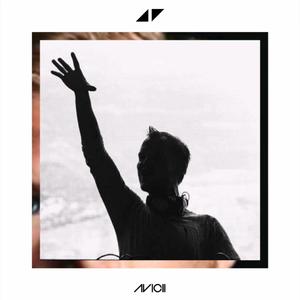 Holy Grail (Avicii Remix)