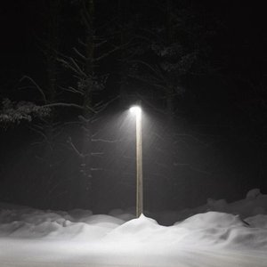 Please Never Fall in Love Again