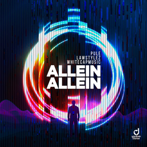 Allein Allein (Extended Mix)