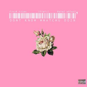 Don't know whatchu doin' (feat. Jordn Polar) (Remix)