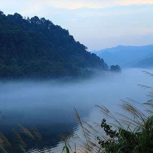 睡眠轻音乐 放松大脑 快速入睡
