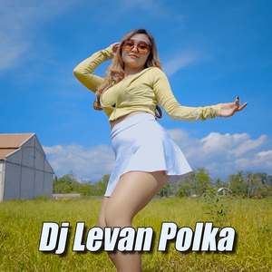 Dj Levan Polka