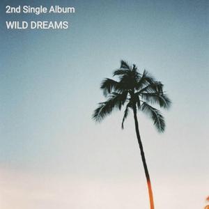 California Dreaming（翻自 Arman Cekin）