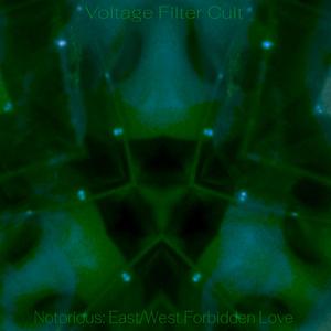 Notorious: East/West Forbidden Love