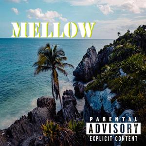 HIGHVIBES (feat. Pana, Picha, Oñate & Chicano)