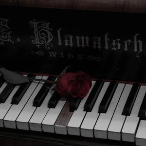 月亮代表我的心 新编