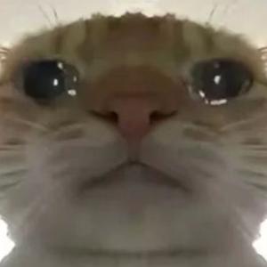 悬疑召唤曲（哈基米）