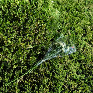 当我想你的时候