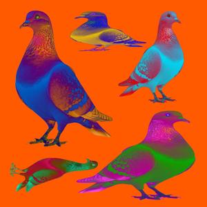 Pigeon (feat. AFFÉ)