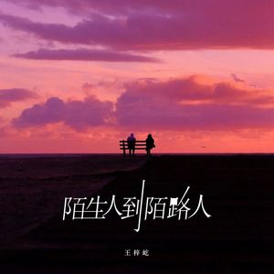 陌生人到陌路人