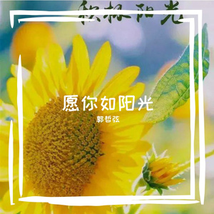愿你如阳光纯音乐