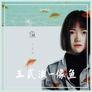 王贰浪-像鱼（Salted fish cy remix）