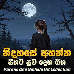 Parana Gee Sinhala Hit Collection || සිතට සුව දෙන ගීත