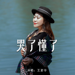 哭了懂了