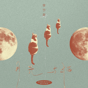 月光与猫