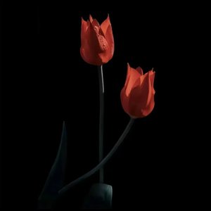 “如果时间能重来”