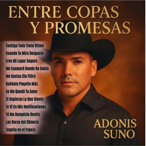 Te Vi En Mis Notificaciones