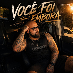 VOCÊ FOI EMBORA
