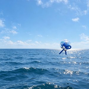 气球飞过海