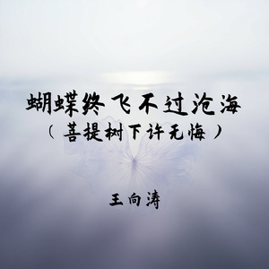 蝴蝶终飞不过沧海(菩提树下许无悔)