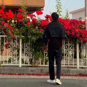 Suratlaring qo'limda (feat. Shoxruzeem)