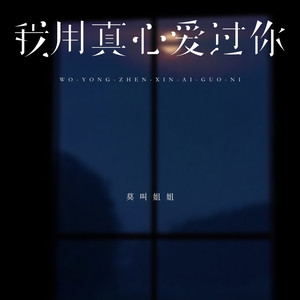 我用真心爱过你