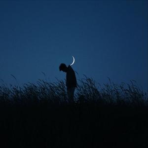 春庭雪 DJ光头版