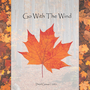 Go with the Wind
