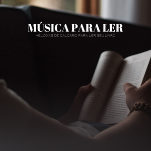 Pilas De Seus Livros