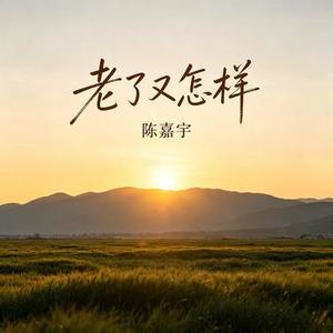 老了又怎样