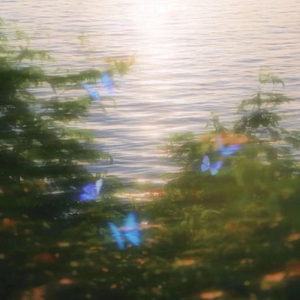 有你的寻常，胜过我所有的辉煌