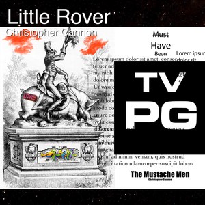 Little Rover